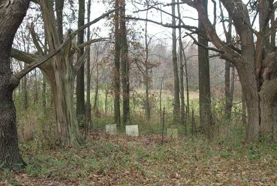 Cemetery Photo