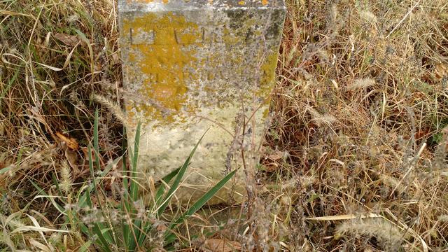 Monument Photo